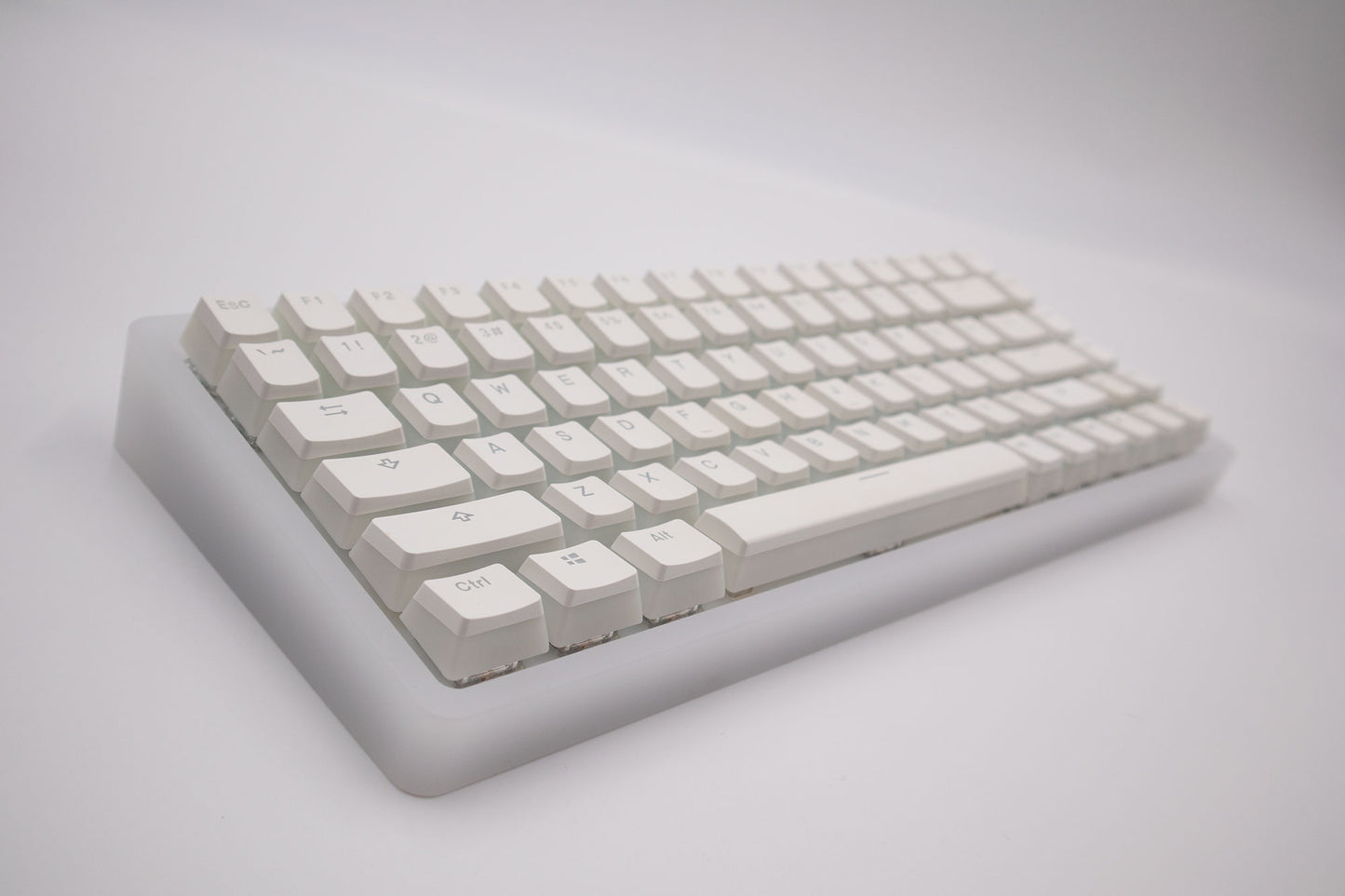 
                  
                    Custom Built Marsback M1 75% Keyboard
                  
                
